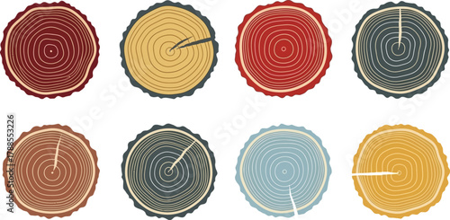 Cross Section Tree Rings Set on Transparent Background