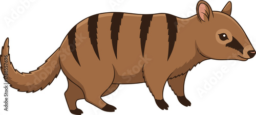 Cartoon numbat with bushy tail and striped back, vector illustration for Australian wildlife education and friendly marsupial character concept