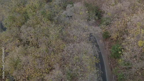 Wallpaper Mural Breathtaking Aerial View of Twisting Road Surrounded by Autumn Foliage and Nature's Serenity Torontodigital.ca