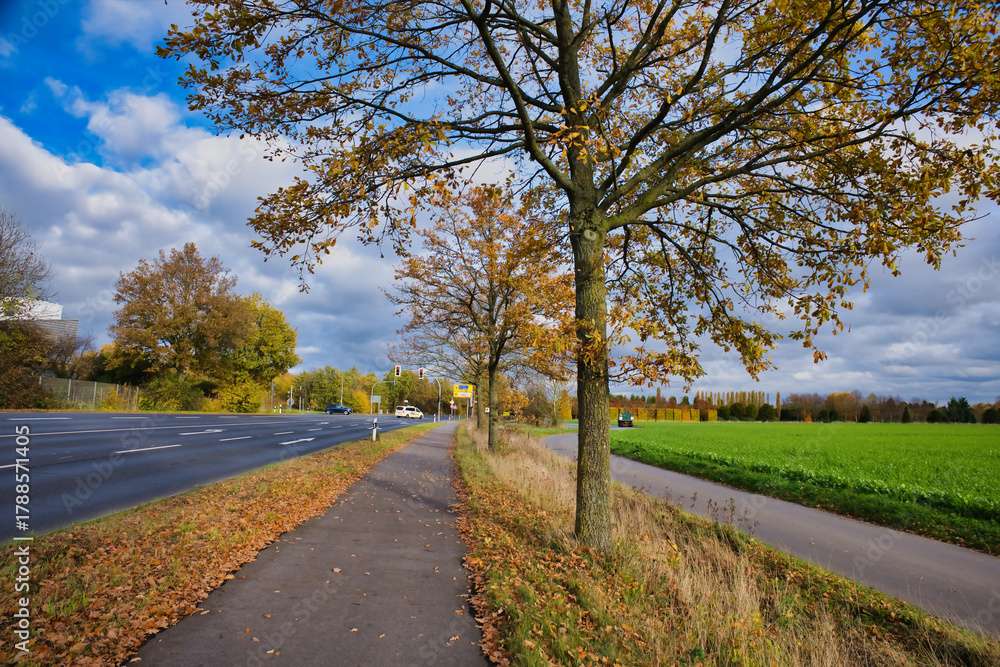 Fototapeta premium Autumn countryside road with colorful trees and cloudy sky near farmland in peaceful rural landscape