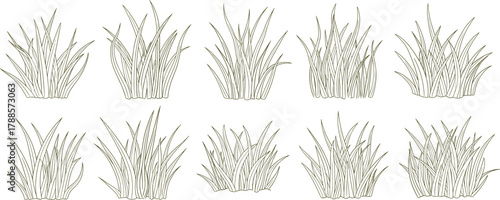 Hand-Drawn Grass Tuft Vector Set: Botanical Sketch of Turf, Lawn, and Herbaceous Plants for Nature, Garden, Landscaping, Outdoor, and Seamless Design Elements.