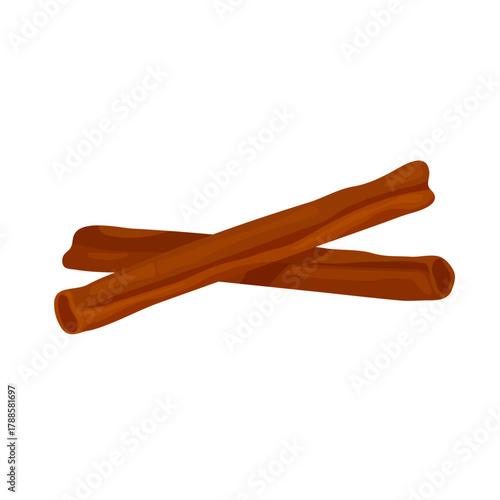 Two cinnamon sticks are shown on a white background. Vector illustration