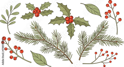 Festive Evergreen Boughs with Holly Berries and Assorted Leaves on White