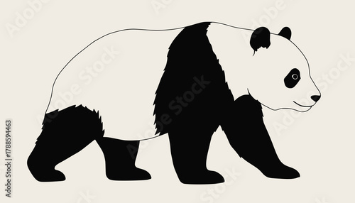 black and white panda vector, walking panda