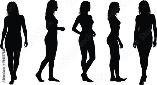 Collection of female body silhouette poses showing standing walking and side profile positions in elegant artistic style