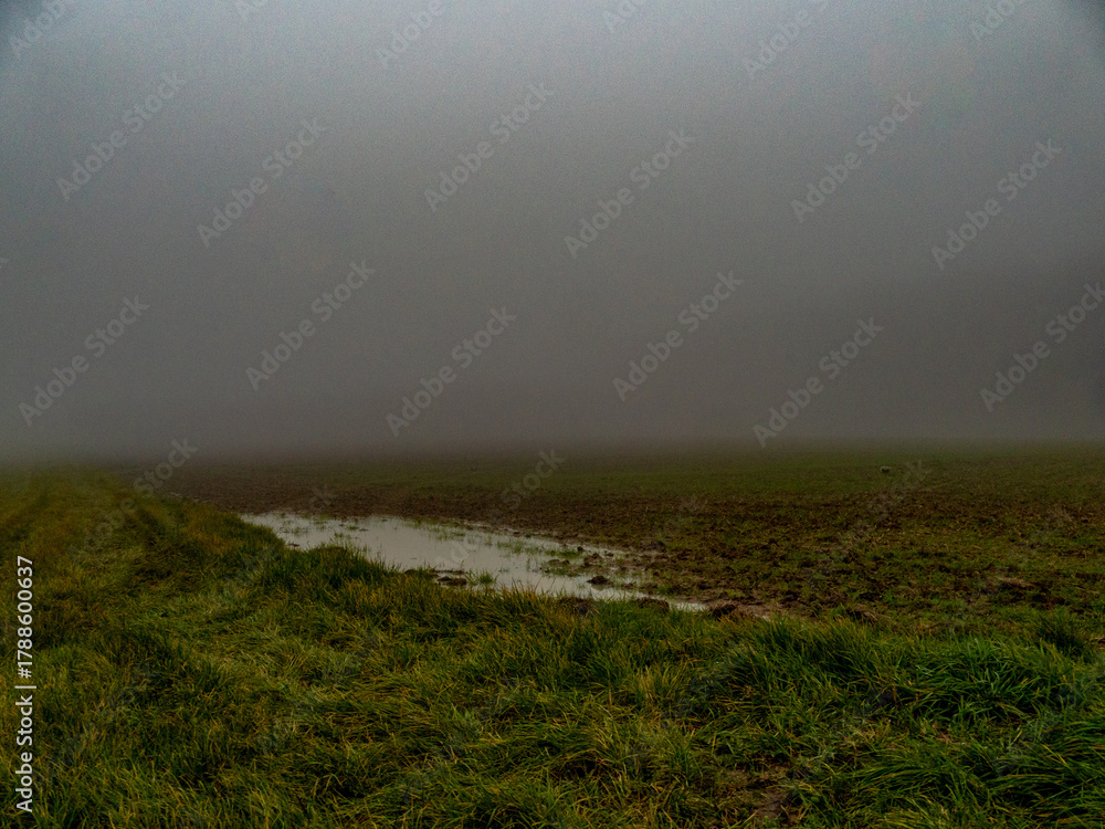Fototapeta premium Nasser Ackerboden im Nebel