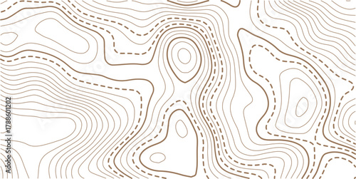 Luxury gold abstract topographic map background with golden lines  texture, wallpaper design for fabric , packaging , web, geographic grid map vector illustration.