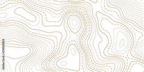 Topographic map background. Geographic line map with elevation assignments.Topographic map ,abstract height lines on white background ,vector.