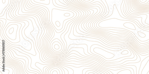 Abstract Topographic Pattern contour line map. Luxury gold abstract line art on transparent background image. Topography background. Vector banner. Topographic map ,abstract height lines .