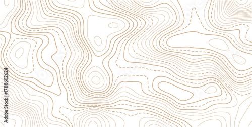 Abstract Topographic Pattern contour line map. Luxury gold abstract line art on transparent background image. Topography background. Vector banner. Topographic map ,abstract height lines .