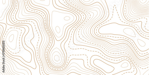 Topographic map background. Geographic line map with elevation assignments.Topographic map ,abstract height lines on white background ,vector.
