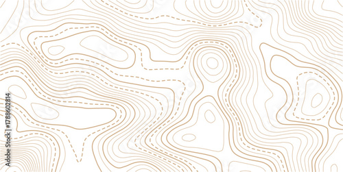 Topographic map background. Geographic line map with elevation assignments.Topographic map ,abstract height lines on white background ,vector.