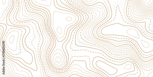 Luxury gold abstract topographic map background with golden lines  texture, wallpaper design for fabric , packaging , web, geographic grid map vector illustration.