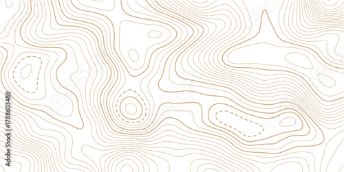 Abstract Topographic Pattern contour line map. Luxury gold abstract line art on transparent background image. Topography background. Vector banner. Topographic map ,abstract height lines .