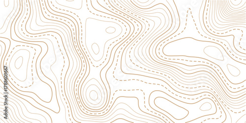 Abstract topo contour map on white background, Topographic map Topographic contour lines map seamless pattern.Topography background. Vector banner. Topo,

