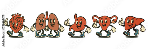 Retro body part character mascots, vintage cartoon heart, lungs, stomach, liver