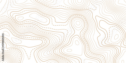Topographic Contour Art in the Style of Classic Surveyor Maps with Rustic Linework, and a Strong Connection to Natural Geography.beautiful white and black contour topo wavy patten.