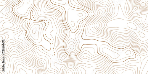 Luxury gold abstract topographic map background with golden lines  texture, wallpaper design for fabric , packaging , web, geographic grid map vector illustration.