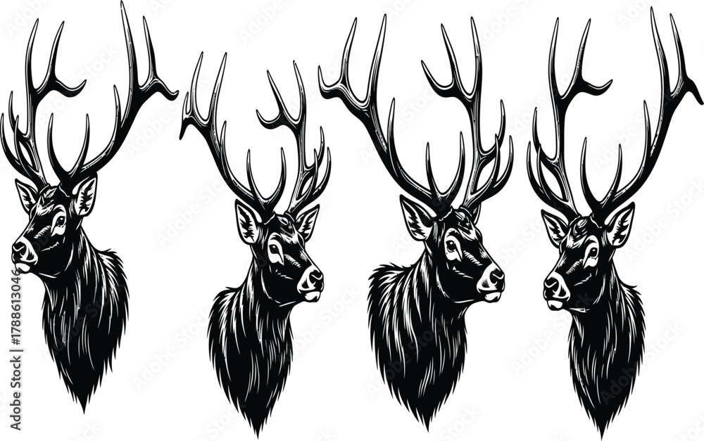 Obraz premium Four elegant deer heads, each with unique antlers, are depicted in a monochrome illustration, showcasing the beauty of nature