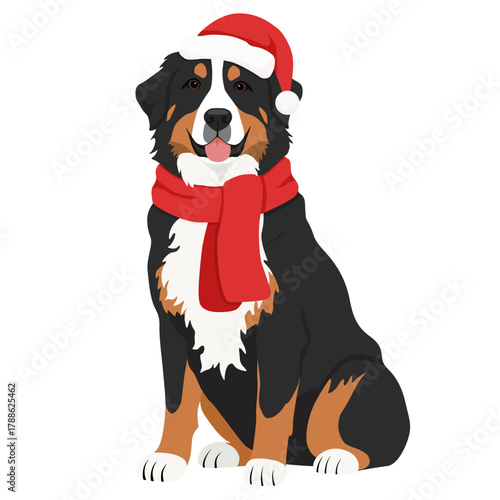 Cute Bernese Mountain Dog in Santa Hat and Scarf