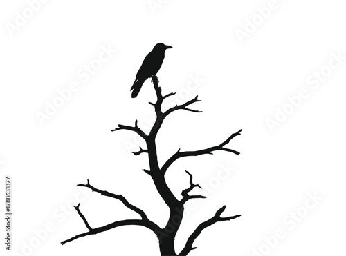 Silhouette of a solitary crow perched atop a bare skeletal tree against a stark white background