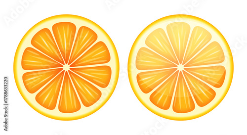 Orange. A round slice of orange. Vector 3D illustration isolated on white background.