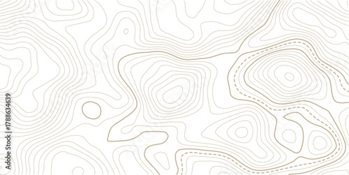 Abstract Topographic Pattern contour line map. Luxury gold abstract line art on transparent background image.Topography background. Vector banner. Topo.