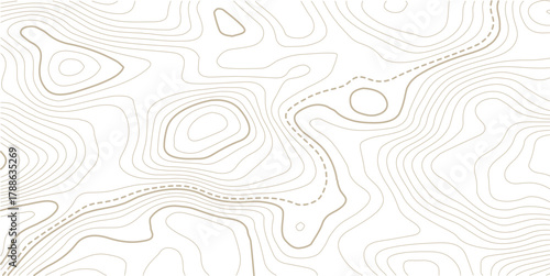 Black and white topographic map background. Topographic map lines. Monochrome topographic terrain lines with space for text.