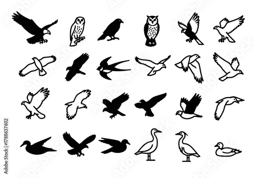 A diverse collection of wild bird icons in minimalist black and white style, featuring eagles, owls, and swallows for vector art design erty (8)