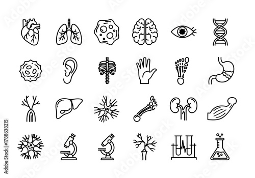 Comprehensive set of human anatomy and biology line icons, including organs, cells, skeleton, and laboratory equipment for scientific design