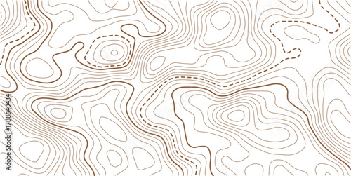 Abstract Topographic Pattern contour line map. Luxury gold abstract line art on transparent background image.Topography background. Vector banner. Topo.