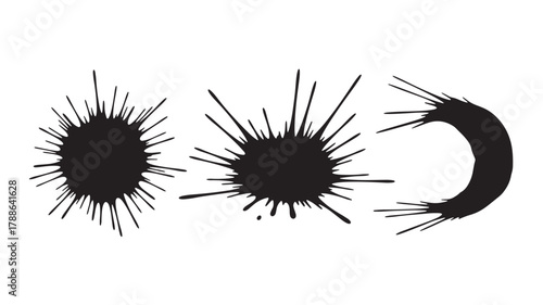 a striking arrangement of three black spiky shapes resembling sea urchins or abstract forms presented in a minimalist style on transparent background silhouette high quality professional