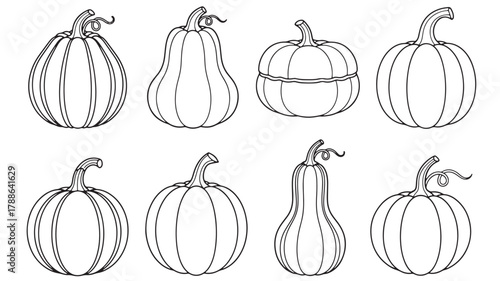 a collection of hand drawn pumpkins in various shapes and sizes perfect for autumn designs on transparent background silhouette high quality professional detailed modern elegant stylish