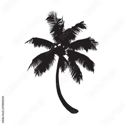 Silhouette of a palm tree, showcasing its iconic shape and tropical essence, with fronds gracefully arching