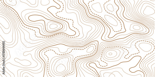Konstfotografi Topographic gold luxury map background
