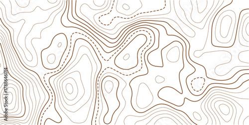 The golden on white contours topography stylized relief diagram line wave carve pattern background 
