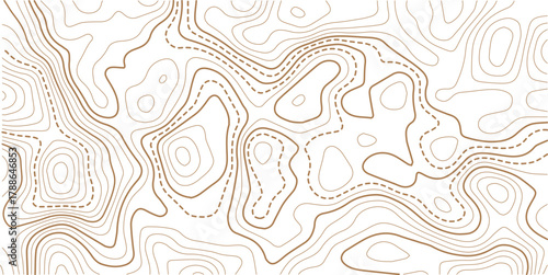 Topographic gold luxury map background. Geographic abstract pattern. The topo contour or wallpaper.Abstract outline grid.