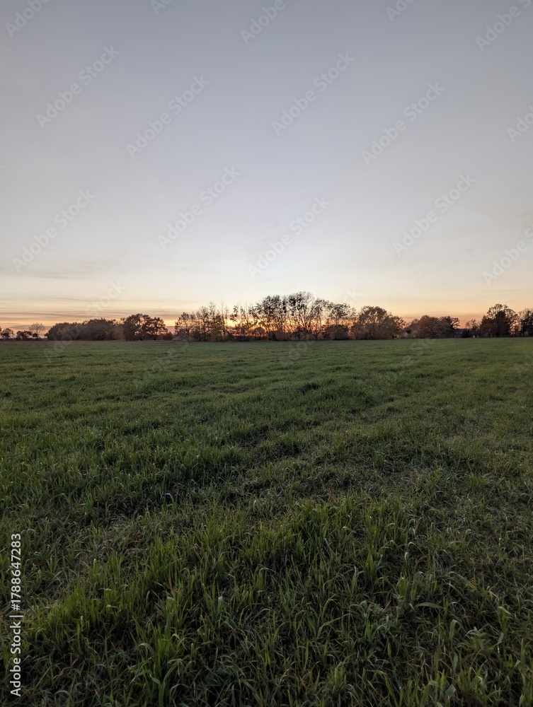 Fototapeta premium A serene sunset casts a warm glow over a vast green field with trees in the background