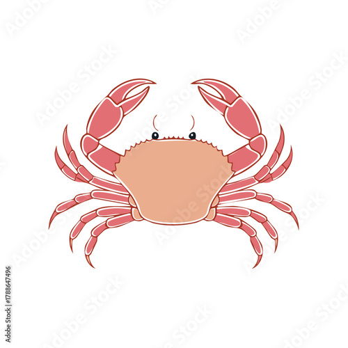 Vibrant cartoon crab illustration with large claws, smiling cute marine animal vector art