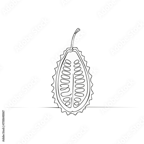Line Art Cross Section of a Bitter Melon With Seeds