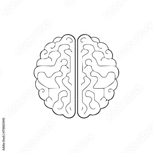 Stylized outline of a human brain viewed from above with detailed convolutions and clear division