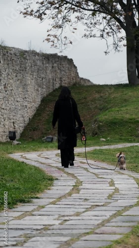 Asian woman walks her small Yorkshire Terrier dog along the old stone walls of Kalemegdan Park in Belgrade on a calm autumn morning. Vertical 4k footage