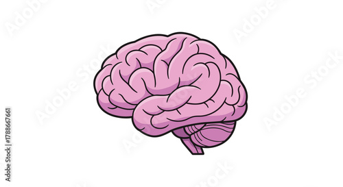 Pink human brain graphic illustration representing intelligence