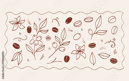 Coffee border. Vector illustration. Sketch with coffee plant branch, grains, flowers. Hand drawn design for label cafe project, coffee bean packaging, branding, wrapping, card