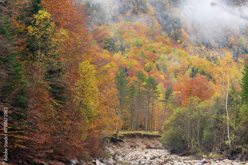 Beautiful and foggy valley in autumn in Ordesa National Park Pyrenees, Huesca Aragon Spain
