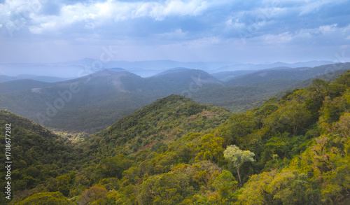 Mantiqueira Mountains, border of the states of São Paulo and Minas Gerais, city of Camanducaia, district of Monte Verde