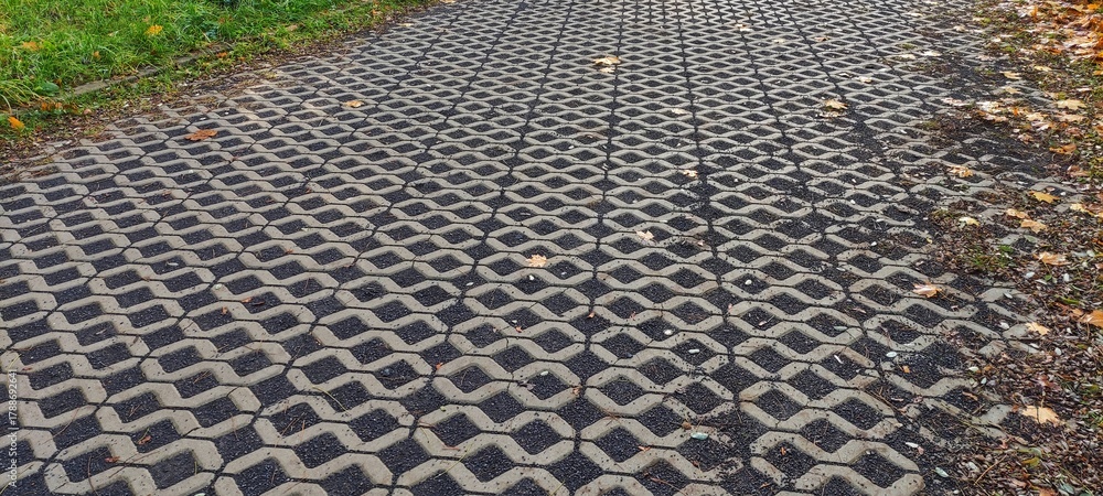 Fototapeta premium Nawierzchnia z ażurowych płyt betonowych