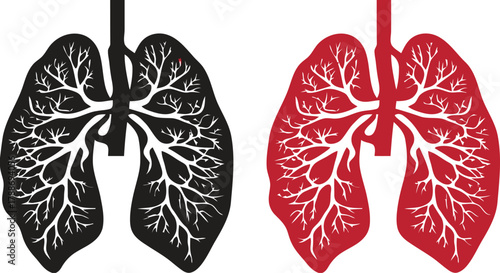lungs, human lungs, respiratory system, anatomy, silhouette, black, red, white, medical, health, breathing, organ, trachea, bronchi, lungs illustration, lungs icon, lungs graphic, science, biology, he
