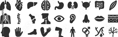 depict, such, keywords:, category:, organ, bones, design, parts, icons, joint, nose, like, feature, bladder, liver, description:, muscle, mouth, eyes., collection, parts., skin, science, skeletal, sym