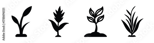 Vector illustration of various grass plants and reeds for design elements and decoration needs